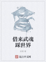 借来武魂踩世界封面