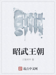 昭武王朝封面