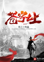 苍穹之上封面