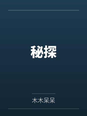 秘探封面