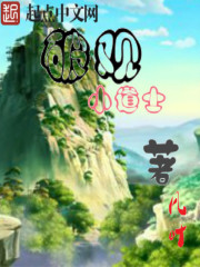破观小道士封面