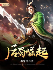 后蜀崛起封面