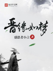 晋缘如梦封面