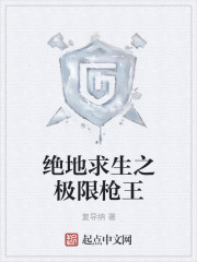 绝地求生之极限枪王封面