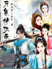 万象情仇录封面