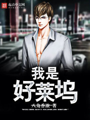 我是好莱坞封面