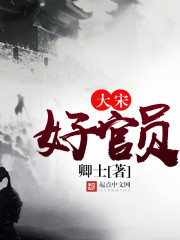 大宋好官员封面