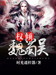 权倾魏蜀吴封面
