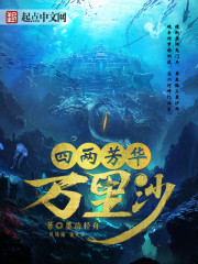 四两芳华万里沙封面