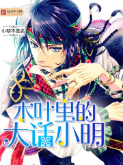 木叶里的大话小明封面