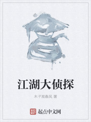 江湖大侦探封面