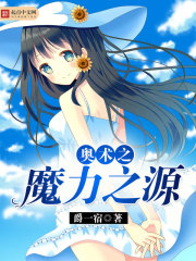 奥术之魔力之源封面