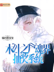 木叶之尸魂界抽奖系统封面