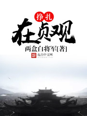 挣扎在贞观封面