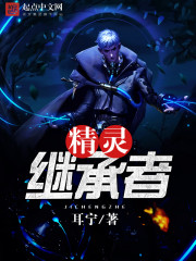 精灵继承者封面