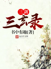 三剑三玄录封面
