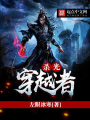 杀光穿越者封面