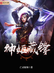 神姬藏锋封面