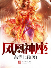 凤凰神座封面