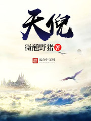 天倪封面