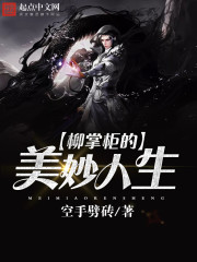 柳掌柜的美妙人生封面