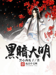 黑暗大明封面