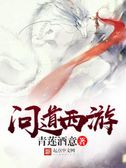 问道西游封面