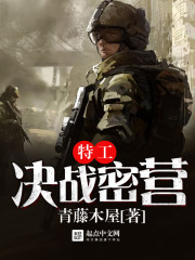 特工决战密营封面