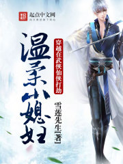 穿越在武侠仙侠打劫温柔小媳妇封面