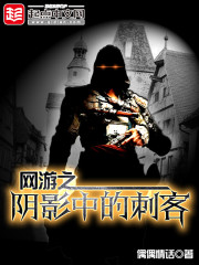 网游之阴影中的刺客封面