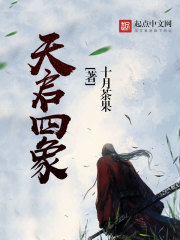 天启四象封面