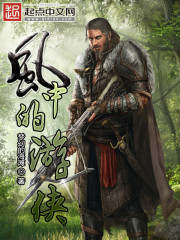 风中的游侠封面