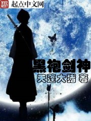 黑袍剑神封面