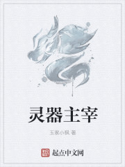 灵器主宰封面