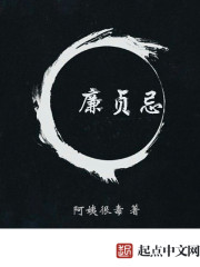 廉贞忌封面