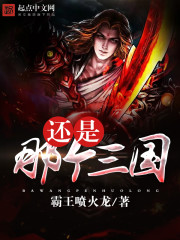 还是那个三国封面