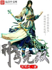 神丐无双封面