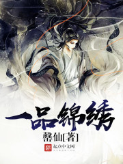 一品锦绣封面