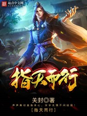 指天而行封面