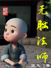 无脑法师封面