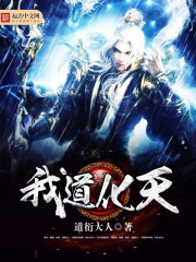 我道化天封面