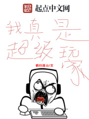 我真是超级玩家封面