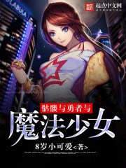 骷髅与勇者与魔法少女封面