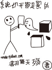 系统切开都是黑的封面