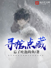 寻棺点藏封面