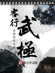 客行武极封面