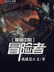 黑暗中的冒险者封面