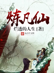 炼凡仙封面