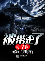 被带歪了的深渊封面
