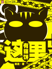 这里有猫饼封面